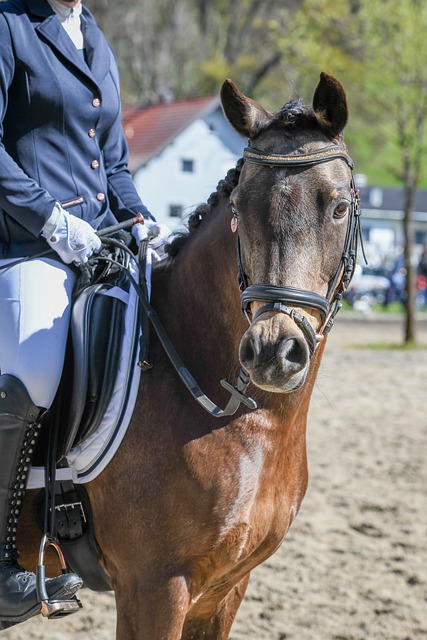 在对阵切尔 在对阵切尔