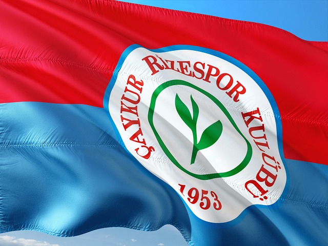 回合失分則 回合失分則