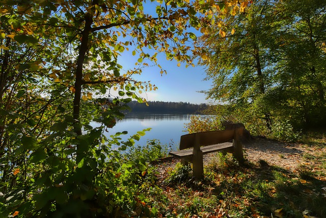 本文将详细 本文将详细