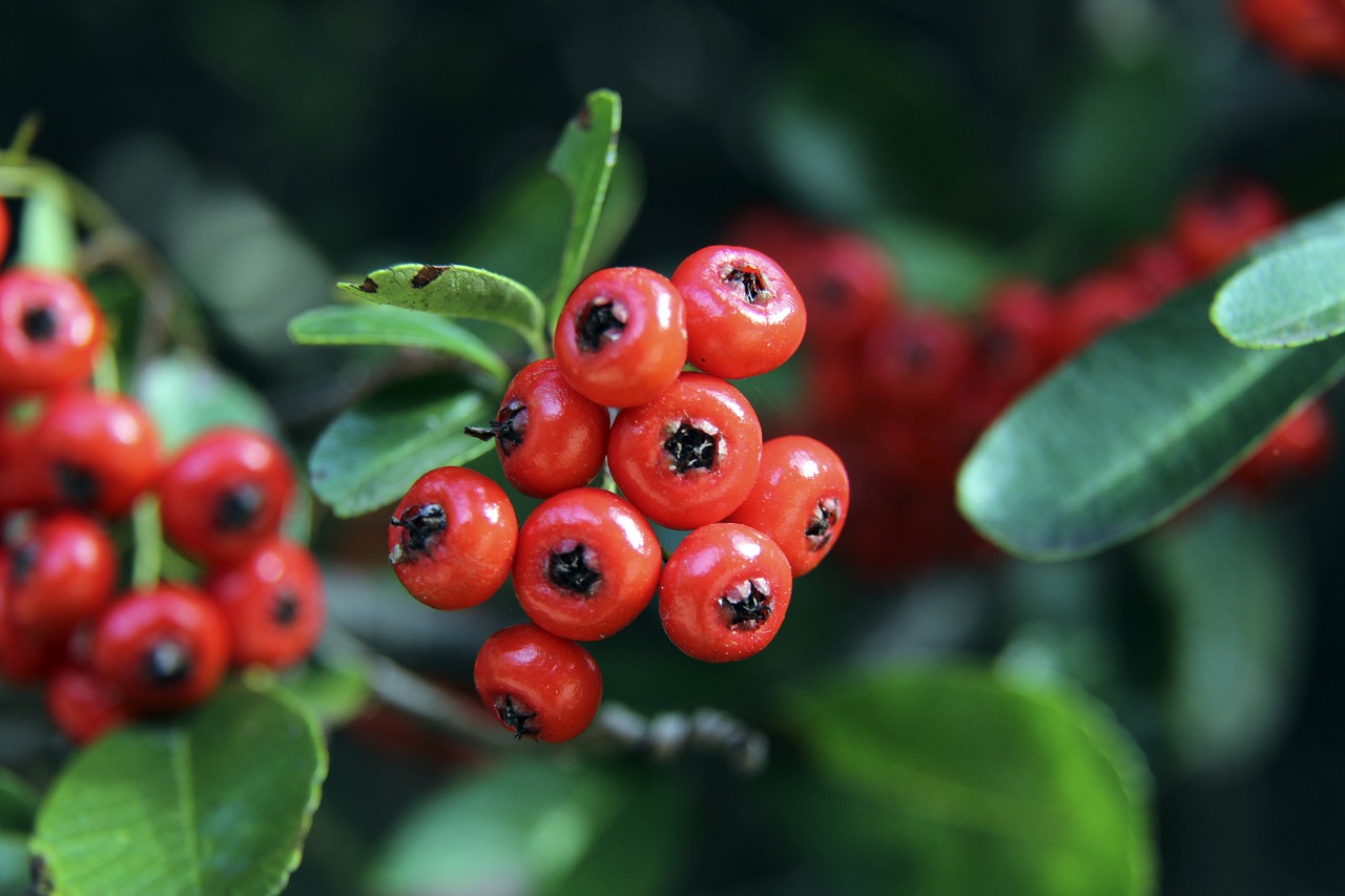 现象瞬间风 现象瞬间风