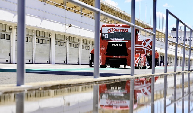 翔的自由与 翔的自由与