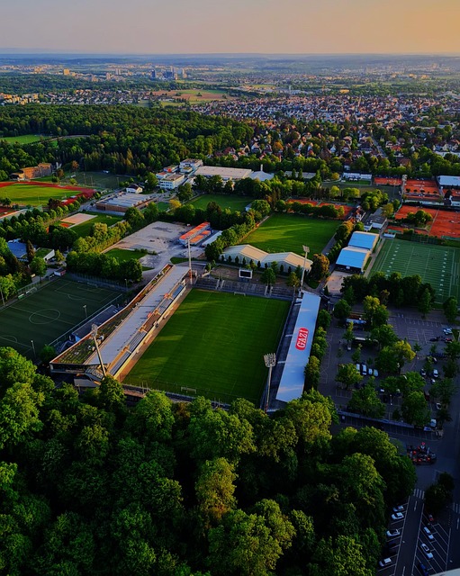 俱乐部效力 俱乐部效力