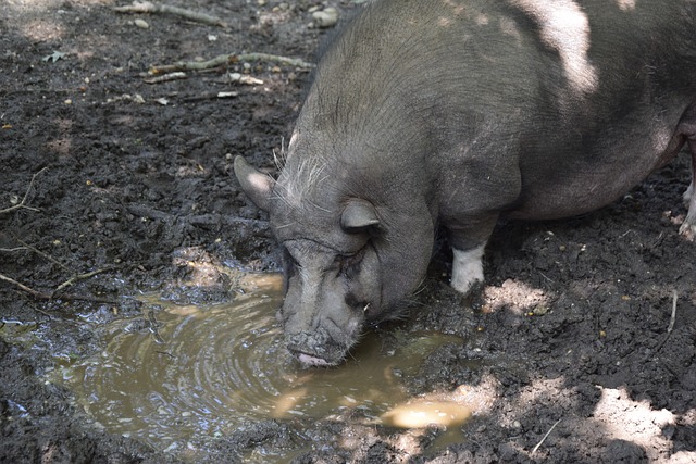意义非凡 意义非凡