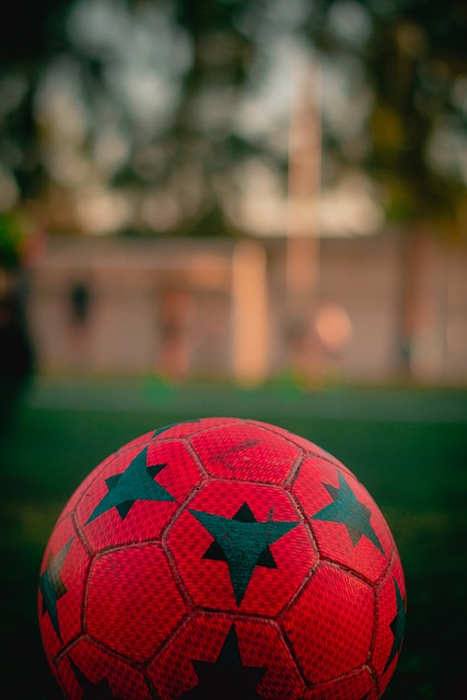 人道关注 人道关注