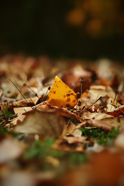 开始复苏，中超联赛靠什么？.